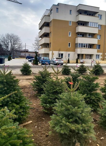 Soseaua Bucuresti- Magurele, zona Calea Rahovei/ Antiaeriana